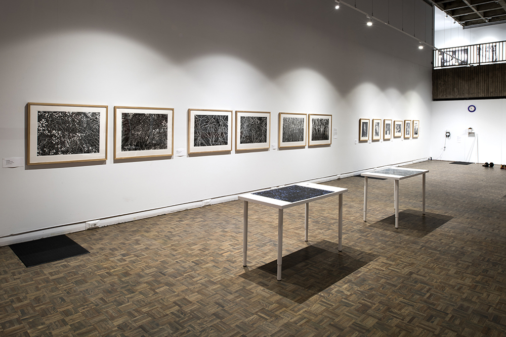 A gallery wall with a row of framed lino prints.