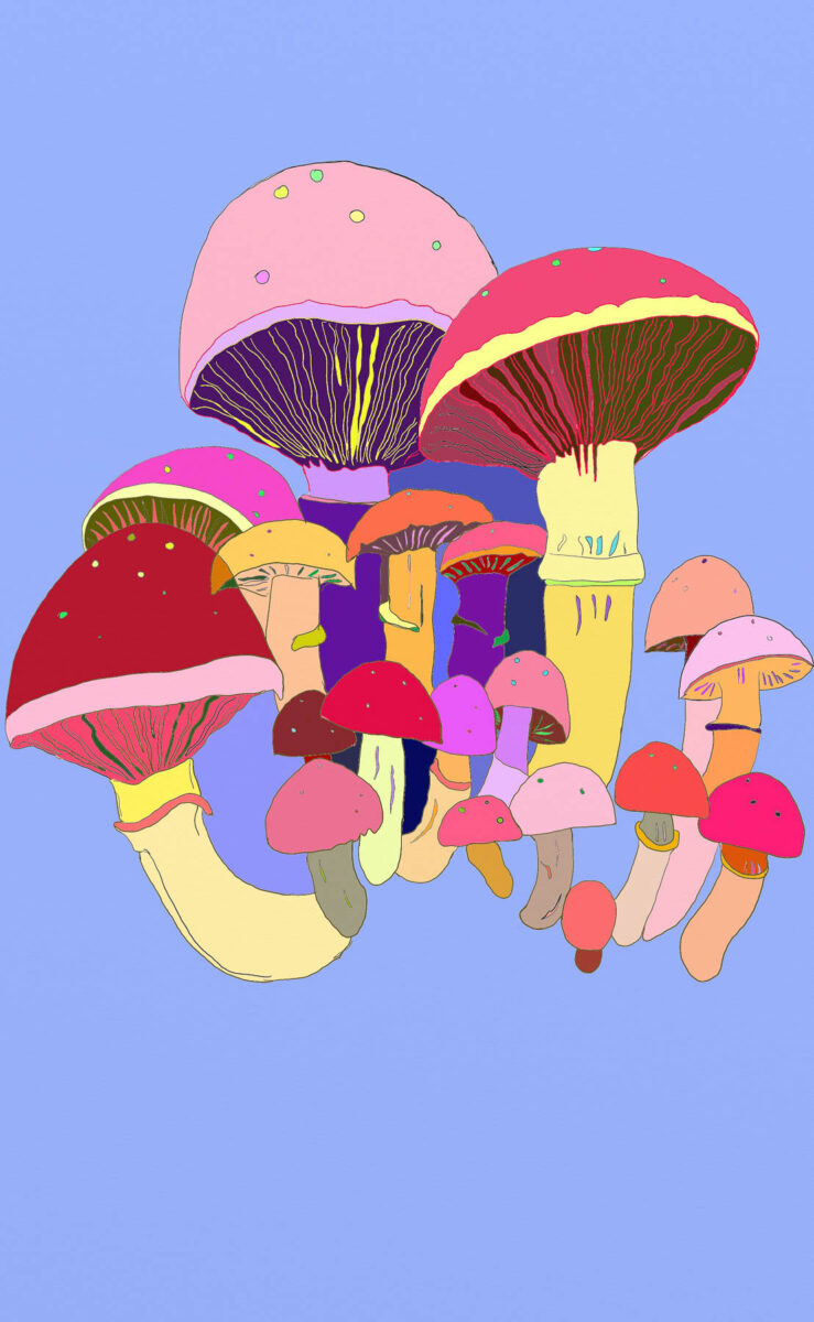 An illustration of multicoloured mushrooms.