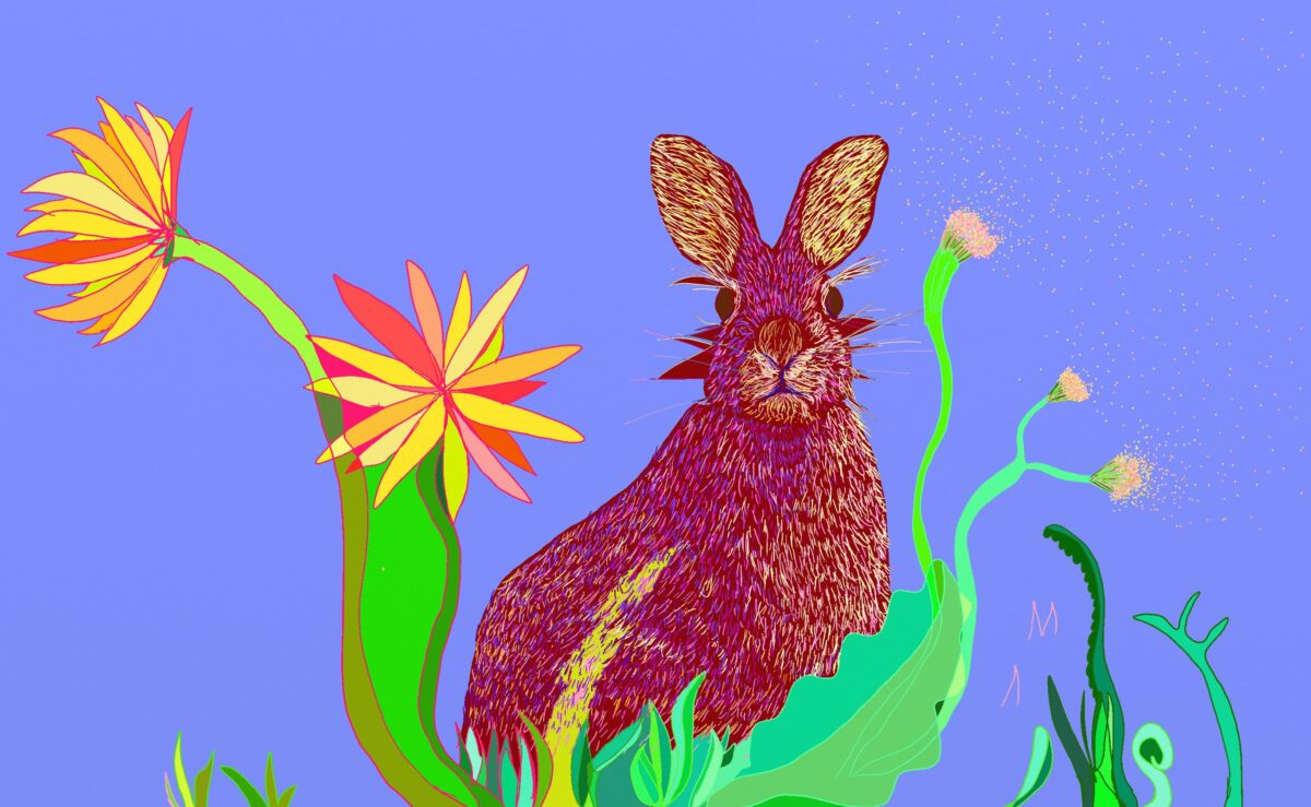 An illustration of a burgundy rabbit.